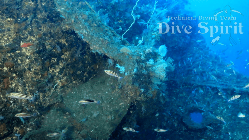 スカンジナビア号のスクリュー