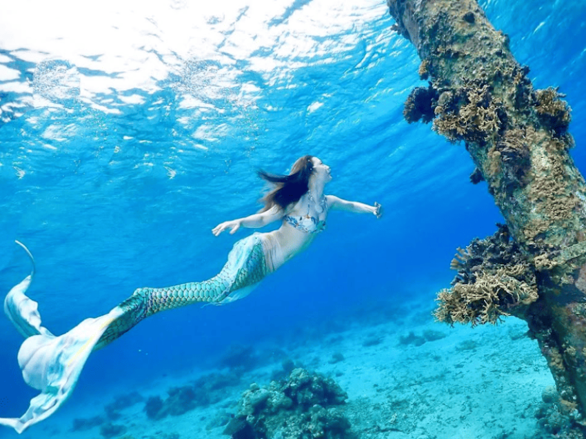 SSIマーメイドスイムで新しい自己表現！「Nagisa Mermaid Club」にその